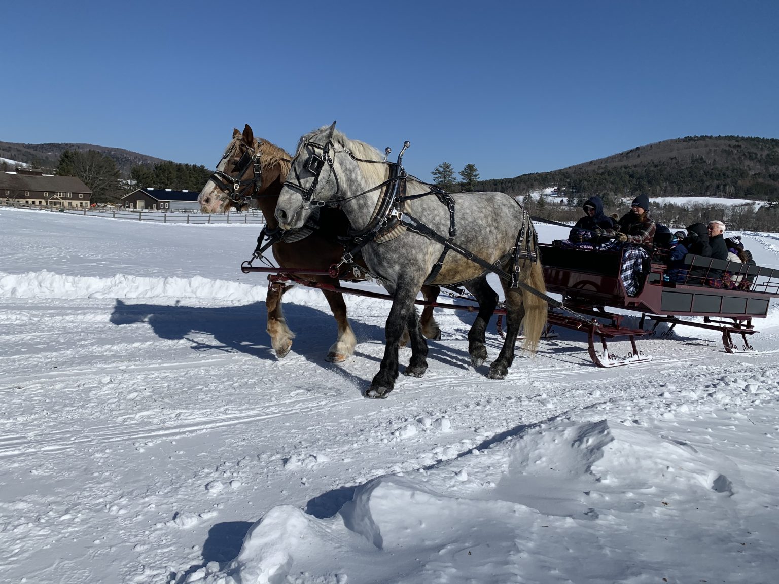 Horse-Drawn Rides - Billings Farm