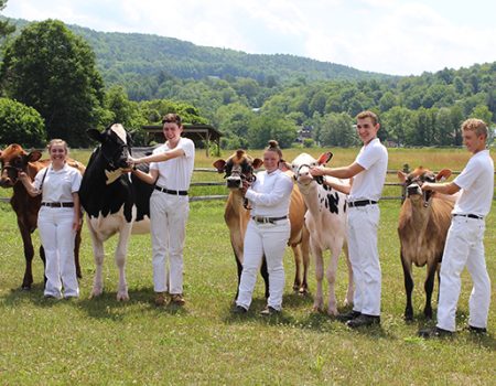 Youth Invitational Dairy Show<br>June 24 & 25<br>10AM-5PM