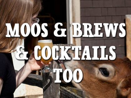 Music, food, local craft brews, cocktails and moos!