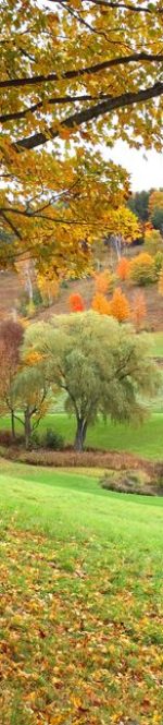 autumn-in-vermont-royalty-free-image-182884731-1561390369
