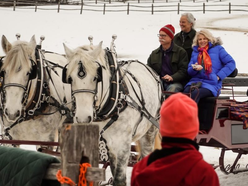 Horse-drawn Sleigh Rides at Billings Farm & Museum copy