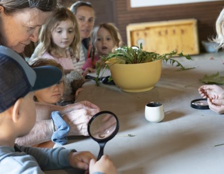 Pre-K Story Time<br>Wednesdays in July<br>9:30-11:00AM