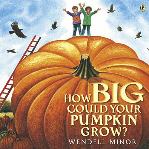 how big will your pumpkin grow