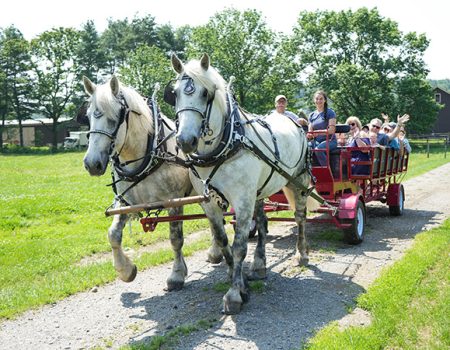 Wagon Ride Wednesdays<br>Weekly July-August<br> 11:00AM-2:30PM