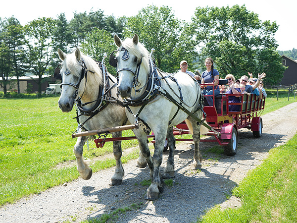 Horse-Drawn Rides - Billings Farm