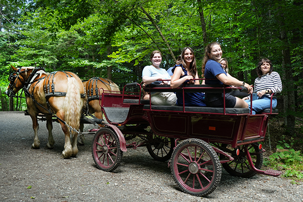 Rustic Rides Farm Horse-Drawn Rides - Billings Farm