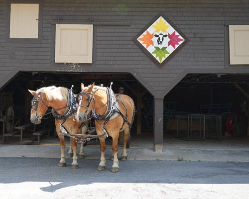 Barn Quilts Horses 600px