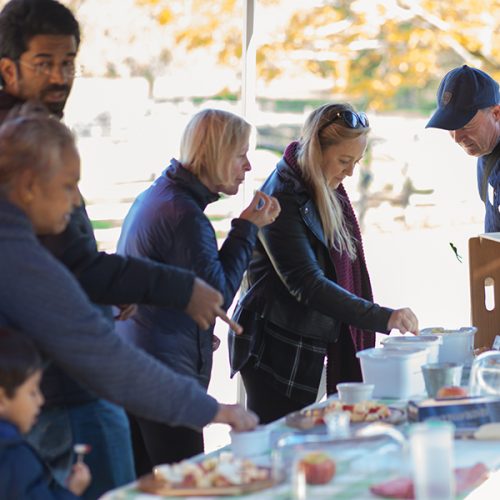 mailchimp 221008 HarvestCelebrationDay1 101 copy