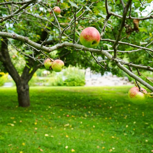 mailchimp DSC01158 copy