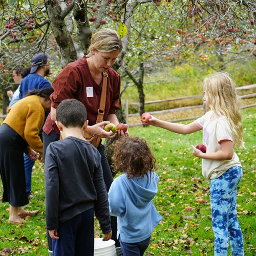 mailchimp DSC07467 copy