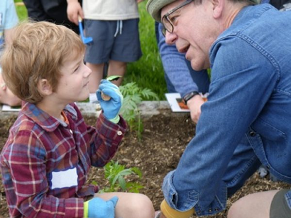 Curiosity and Connection in the Farmstead Gardens