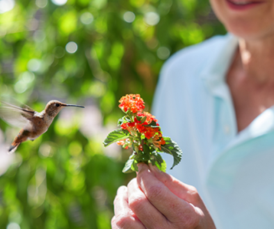 every little thing every little thing