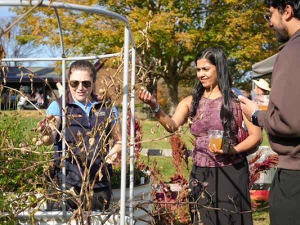 Harvest Time in the Farmstead Gardens