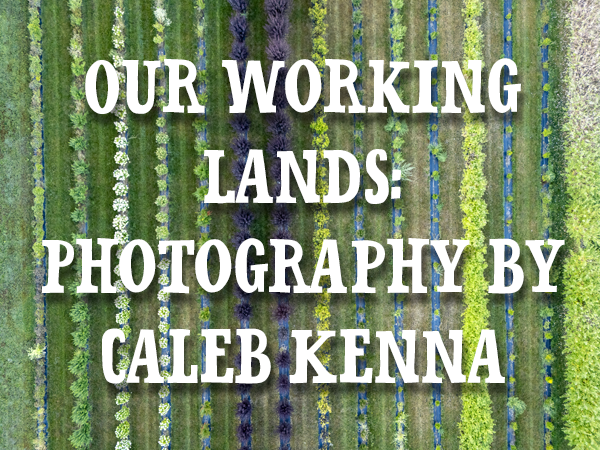 Explore the connection between land, labor, and perspective.