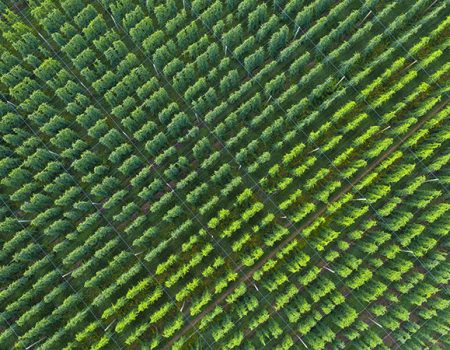 Upcoming Exhibition<br>Our Working Lands: Photography by Caleb Kenna<br>Opening Jan 10 - June 14