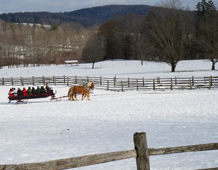 Take a horse-drawn sleigh ride!<br>Public & private available<br>on select days
